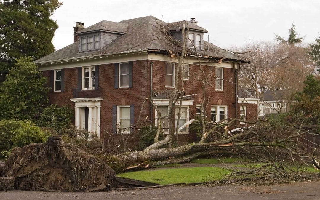 Storm Damage: 5 Steps to Take after a Storm Damages Your Roof in Green Bay